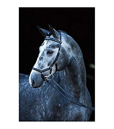 Horseware Rambo Micklem Competition Bridle with Reins